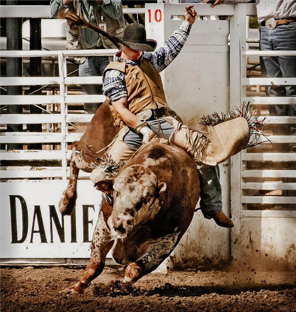 WHAT BEING A COMPETITIVE BULL RIDER TAUGHT ME ABOUT LIFE’S BULLSHIT